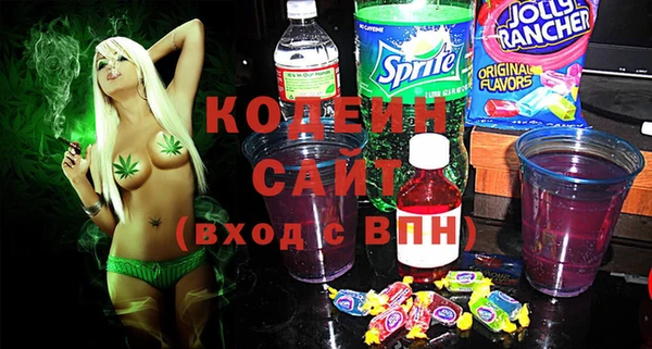 индика Козловка