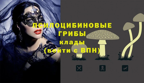 шишки Кодинск