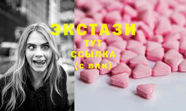 индика Козловка
