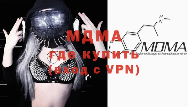индика Козловка