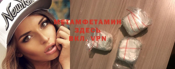индика Козловка