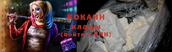 индика Козловка