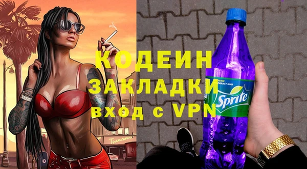 шишки Кодинск