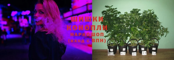 шишки Кодинск