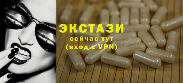индика Козловка