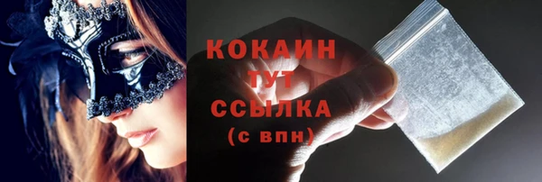 индика Козловка