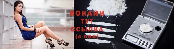 индика Козловка