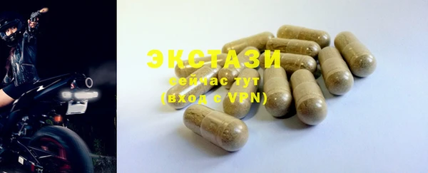 индика Козловка