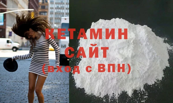 шишки Кодинск