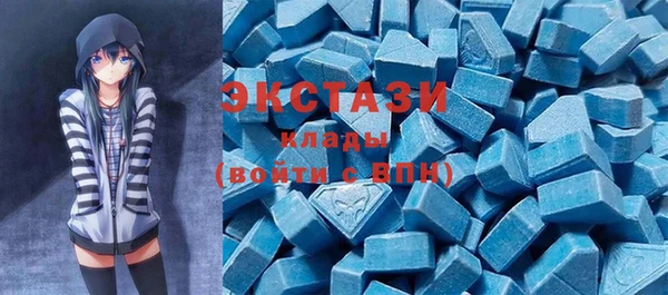 индика Козловка