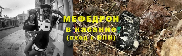 индика Козловка