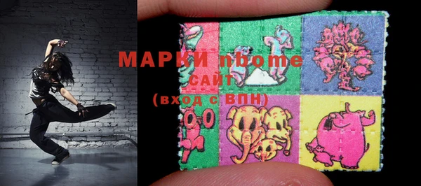 индика Козловка