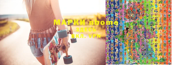 шишки Кодинск