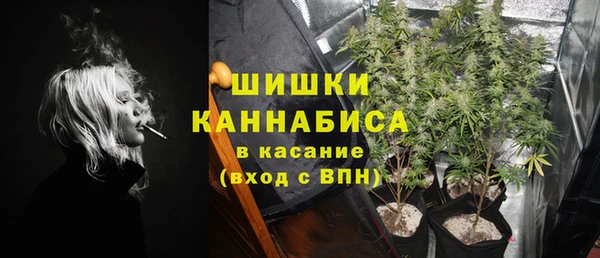 шишки Кодинск