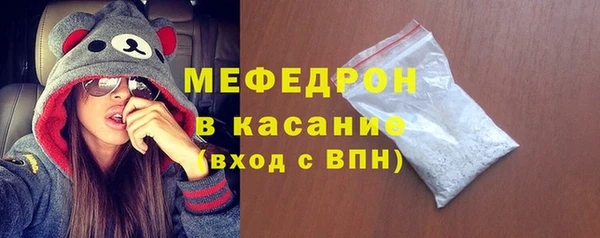 индика Козловка