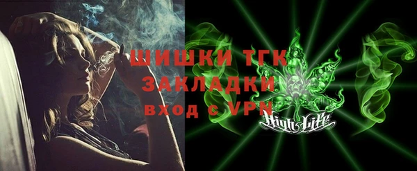 шишки Кодинск
