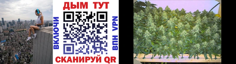 Купить Коряжма МАРИХУАНА Bruce Banner